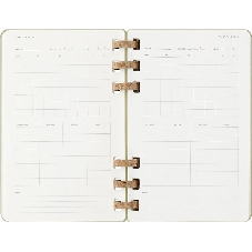 Еженедельник Moleskine ACADEMIC SPIRAL DHSPK5212AMWH3 Large 150х210 мм 200 стр. кремовые страницы спираль киви