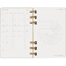 Еженедельник Moleskine ACADEMIC SPIRAL DHSPK5212AMWH3 Large 150х210 мм 200 стр. кремовые страницы спираль киви