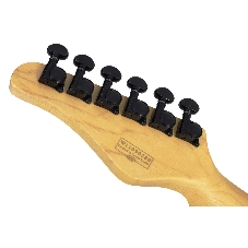 Электрогитара SCHECTER PT M/M - электрогитара 6-струнная, BLK