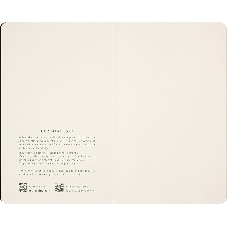 Блокнот Moleskine CAHIER NASA-INSPIRED SKCAHLP7063S2 Large 130х210 мм 120 стр. нелинованный мягкая обложка серебристый/черный Moon (2 шт)