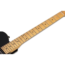 Электрогитара SCHECTER PT M/M - электрогитара 6-струнная, BLK