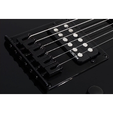 Электрогитара SCHECTER PT M/M - электрогитара 6-струнная, BLK