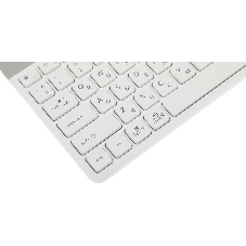 Клавиатура проводная A4Tech Fstyler FK25, USB, белый/серый