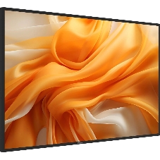 Монитор 43