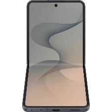 Смартфон Samsung Galaxy Z Flip8 SM-F776B 12Gb, 256Gb, графитовый