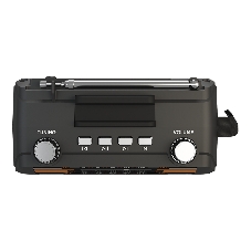 Радиоприемник SOUNDMAX SM-RD2114UB черный