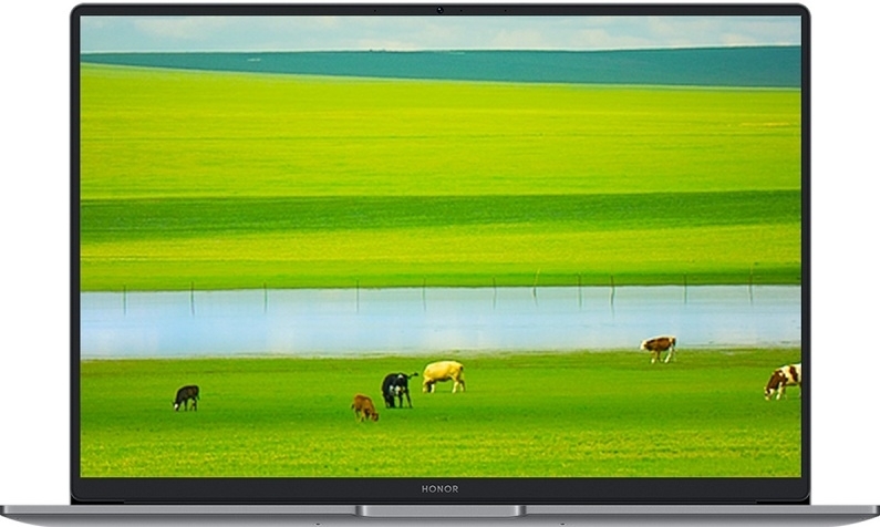 Ноутбук Honor MagicBook X14 Plus 2025 14