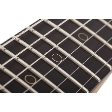 Электрогитара SCHECTER NICK JOHNSTON TRAD-HSS A. FROST - электрогитара 6-струнная. 22 лада, корпус: ольха, гриф: обоженный клен, накладка черное дерево, на болтах, звукосниматели: HSS Schecter Diamond '78, 2x Schecter Diamond Nick Johnston Single Coil, р