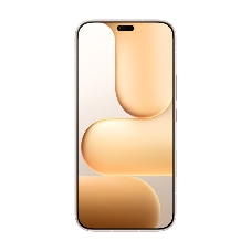 Смартфон HONOR 600 Lite 8/256GB, золотой