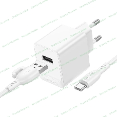 Сетевое зарядное устройство BOROFONE (6941991104664) BAS11Aa для Type-C белый