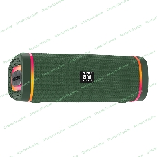 Портативная колонка Soundmax SM-PS5019B зеленый
