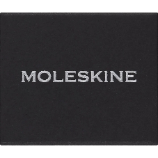 Шильд-символ Moleskine Zodiac Стрелец, металл, серебристый, коробка с европодвесом, PINSAGITTARIUSSILV