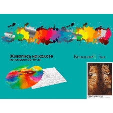 Картина по номерам БЕЛОСНЕЖКА 970-AS Оптическая иллюзия
