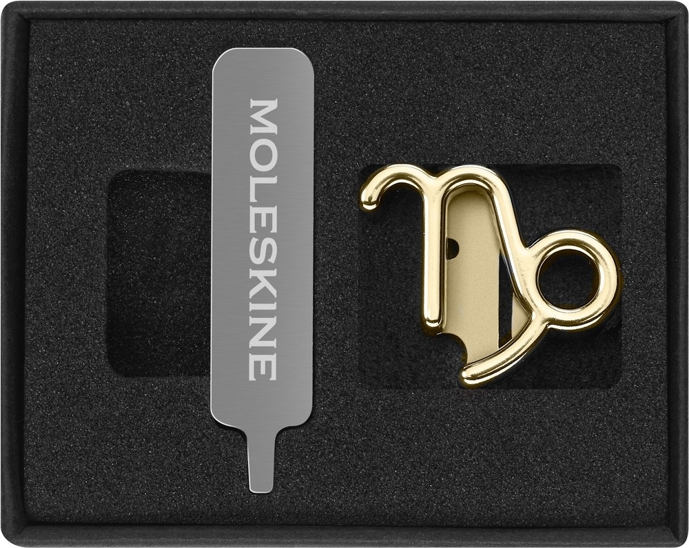 Шильд-символ Moleskine Zodiac Козерог, металл, золотистый, коробка с европодвесом, PINCAPRICORNGOLD