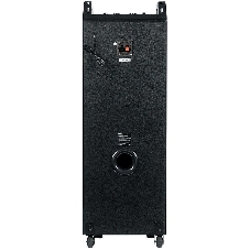 Акустическая колонка Dialog Oscar AO-220 1.0, 100W RMS, Караоке с беспр. микр, BT/FM/USB/SD/GT