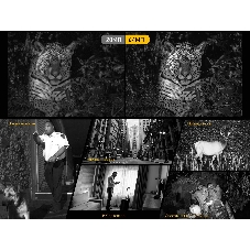 Смартфон Ulefone Armor 24, 12/256Gb, черный