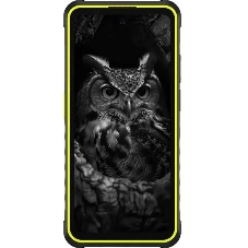 Смартфон Ulefone Armor X31 Pro 8/256Gb салатовый