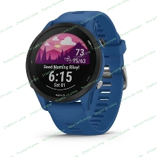 Умные часы Garminn Forerunner 255 Tidal Blue 010-02641-11 28805 753759279882