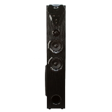 Колонка Eltronic 10