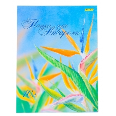 Папка для акварели Silwerhof 914008-54 A3 10 листов бумага 180г/м2