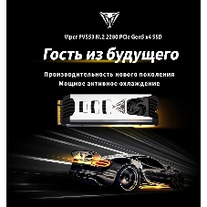 Накопитель SSD Patriot Viper PV553, 1Tb, PCIe 5.0 x4, M.2 2280, NVMe, R/W 11700/9500, активное охлаждение