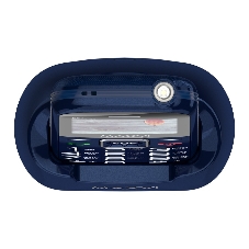 Мобильный телефон Maxvi B5ds up синий
