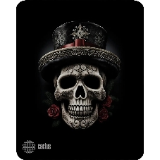 Коврик для мыши Cactus Scull 250x200x3мм (CS-MP-D05S)