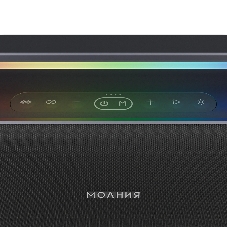 Колонка портативная Ural Молния Кварк черный/серый 240W 1.1 BT/3.5Jack/USB-C 10м 8000mAh (без.бат)