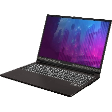 Ноутбук Osio CyberLine C160i-003 коричневый Core i5 12600H 16Gb SSD 512Gb NVIDIA GeForce RTX 4060 8Gb 16
