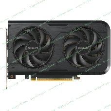 Видеокарта ASUS GeForce RTX 5050 8G OC, NVIDIA RTX 5050, 8 ГБ GDDR6, 128 бит, PCI-e 5.0, 1xHDMI, 3xDP, 2677 МГц