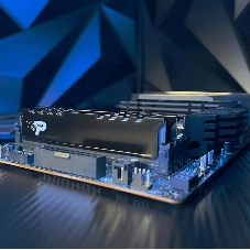 Оперативная память Patriot Signature Premium, DDR5, 32Gb (2x16 Gb), 5600 MHz, CL46, DIMM, радиатор, черный