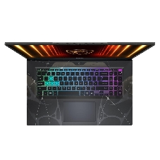 Ноутбук MSI Cyborg 17 B2RWEKG-280XRU/17.3