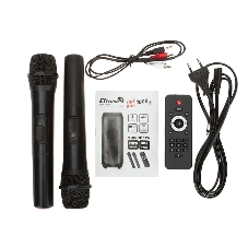 Колонка Eltronic 10