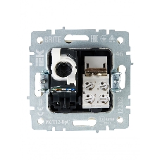 Розетка компьютерная двойная RJ11+RJ45 IEK BRITE РК/Т12-БрС кат.5E сталь