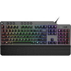 Клавиатура Lenovo Legion K500 RGB Mechanical проводная, USB Type-A, серый