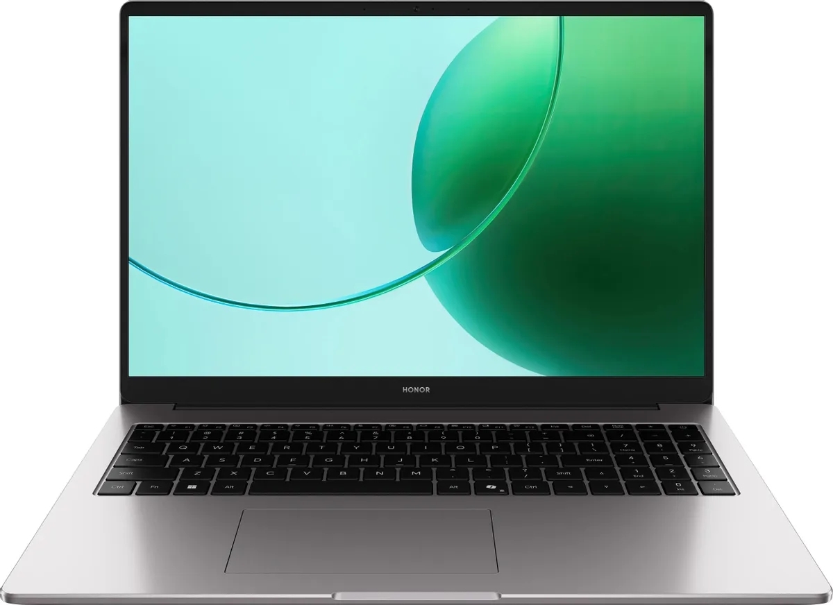 Ноутбук Honor MagicBook X16 2025 GOH-X Cloud Gray (5301APLP)