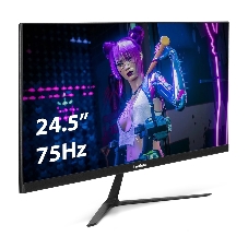 Монитор 24.5