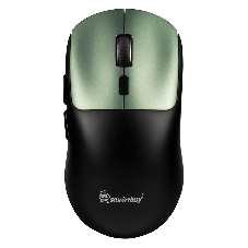 Мышь игровая беспроводная Dual BT+USB с зарядкой Smartbuy X7 черно-зеленая (SBM777DGG) /40.  