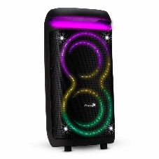 Колонка Eltronic 08