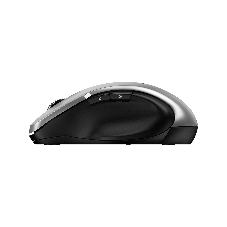 Мышь беспроводная Genius Ergo 8200S серебристый, 1200 dpi, радиоканал, USB, кнопки - 5