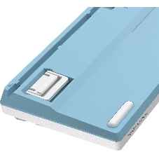 Клавиатура проводная A4Tech Fstyler FS300 (FS300 PANDA SNOWBOARDING), USB, белый/синий