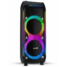 Колонка Eltronic 10