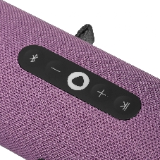 Умная колонка Яндекс Станция Стрит, 30Вт, компактная, 2 динамика, Wi-Fi, Bluetooth 5.0, Алиса, фиолетовый
