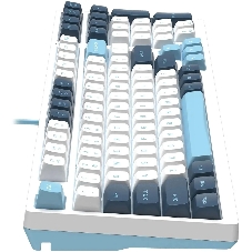 Клавиатура проводная A4Tech Fstyler FS300 (FS300 PANDA SNOWBOARDING), USB, белый/синий