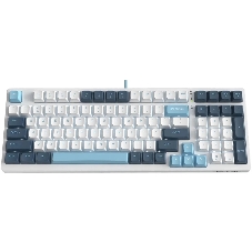 Клавиатура проводная A4Tech Fstyler FS300 (FS300 PANDA SNOWBOARDING), USB, белый/синий