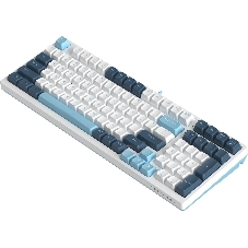 Клавиатура проводная A4Tech Fstyler FS300 (FS300 PANDA SNOWBOARDING), USB, белый/синий