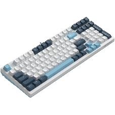 Клавиатура проводная A4Tech Fstyler FS300 (FS300 PANDA SNOWBOARDING), USB, белый/синий