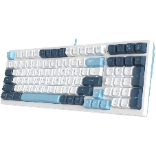 Клавиатура проводная A4Tech Fstyler FS300 (FS300 PANDA SNOWBOARDING), USB, белый/синий
