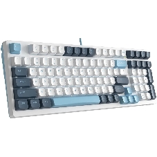 Клавиатура проводная A4Tech Fstyler FS300 (FS300 PANDA SNOWBOARDING), USB, белый/синий