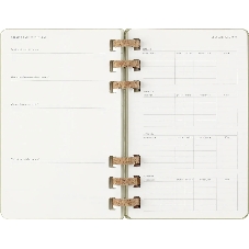 Еженедельник Moleskine ACADEMIC SPIRAL DHSPK5212AMWH3 Large 150х210 мм 200 стр. кремовые страницы спираль киви